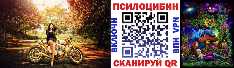 даркнет сайт  Стрежевой  Псилоцибиновые грибы ЛСД 